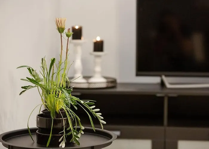 Semesterbostad Luxury House